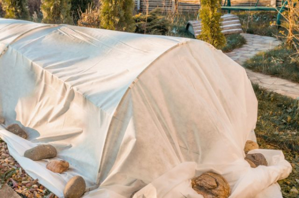 Плёнка или укрывной материал — что на самом деле лучше? Плёнка или укрывной материал — что на самом деле лучше?