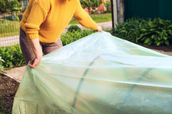 Плёнка или укрывной материал — что на самом деле лучше? Плёнка или укрывной материал — что на самом деле лучше?