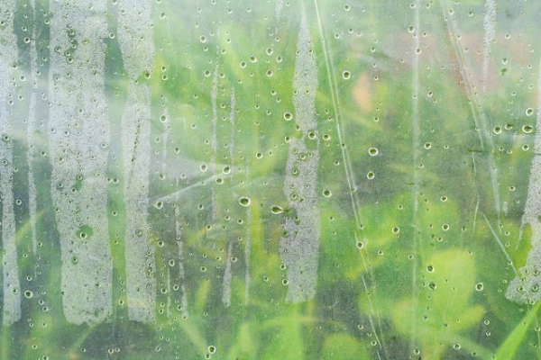 Плёнка или укрывной материал — что на самом деле лучше? Плёнка или укрывной материал — что на самом деле лучше?