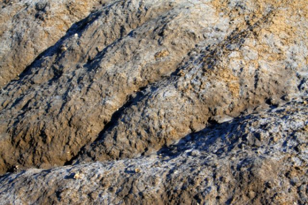 Как определить тип почвы на даче, не делая ни одного анализа